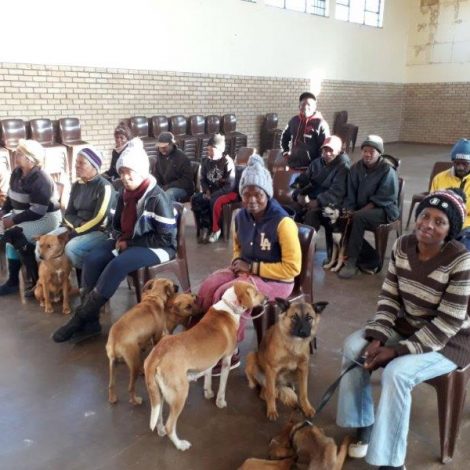 SPCA